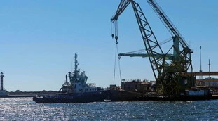 Unione europea, "la guerra del grano". La missione militare a Odessa: un grosso rischio