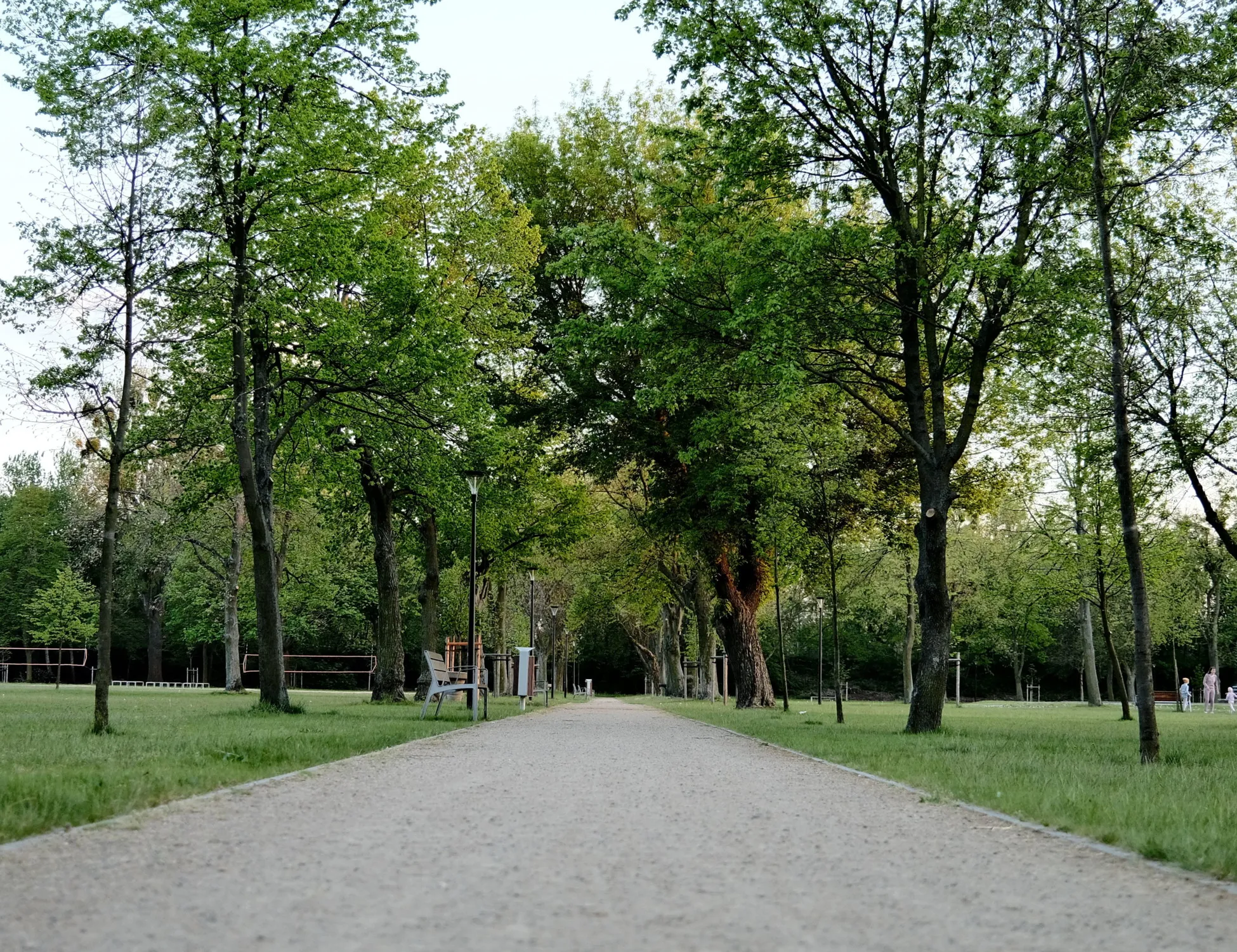 Leggi l'articolo: Fanno sesso al parco? Decisione clamorosa del giudice