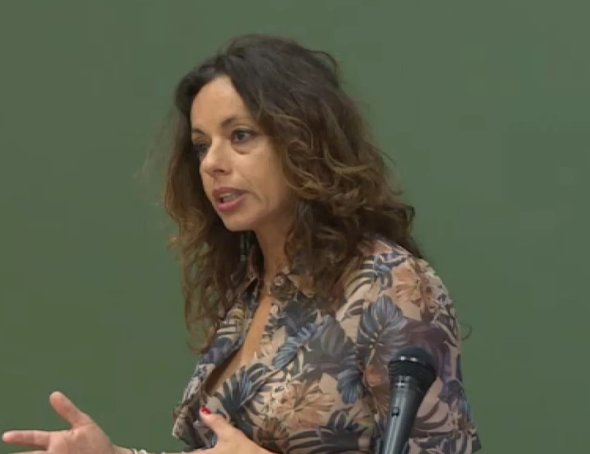 Bollo auto, il post-choc della toga contro il governo: "Le utilitarie? Da mafiosi e narcos"