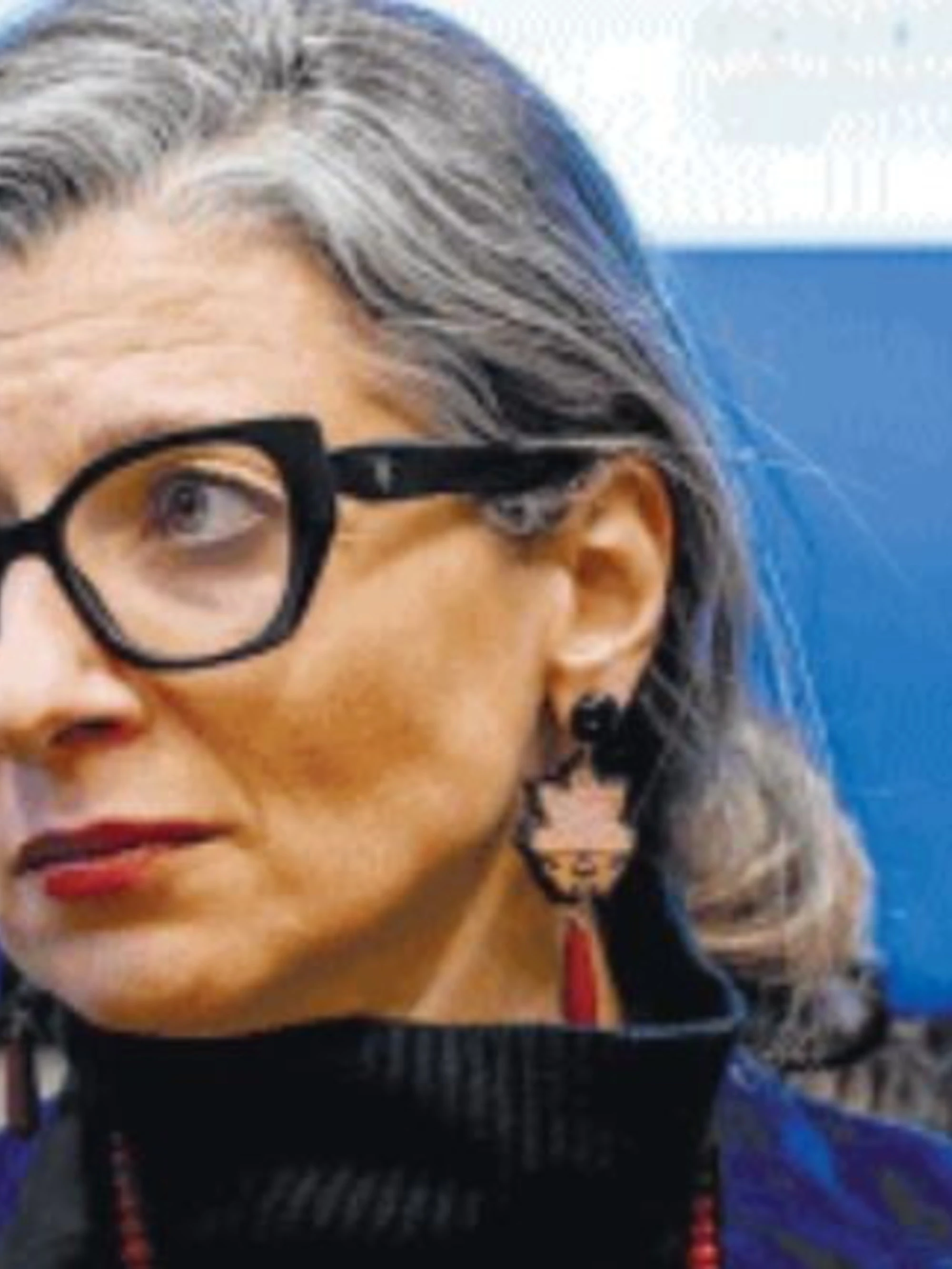 Stop alla Albanese: "Posizioni estremiste"