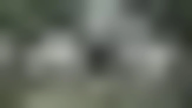 https://media.liberoquotidiano.it/wXvCd9UcjKsZc1FpRgF07E5U63iSnVRHo0gRJauhODk/width:800/quality:90/aW1hZ2VzLzIwMjYvMDYvMTYvMDkxNjU1ODE3LWYyZDcyYzFlLWUwODgtNDJhYS05MjZiLWZkZWY2MTY5OTZiZC5qcGc.webp