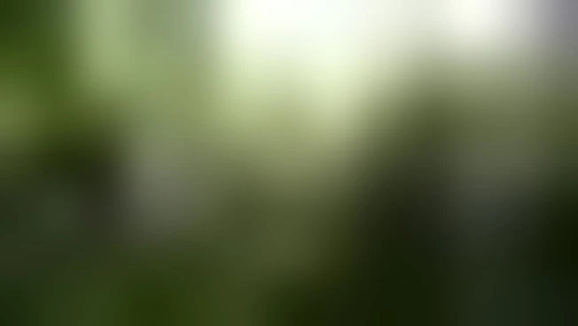 Riapre il Parco Internazionale di Scultura di Villa Furstenberg