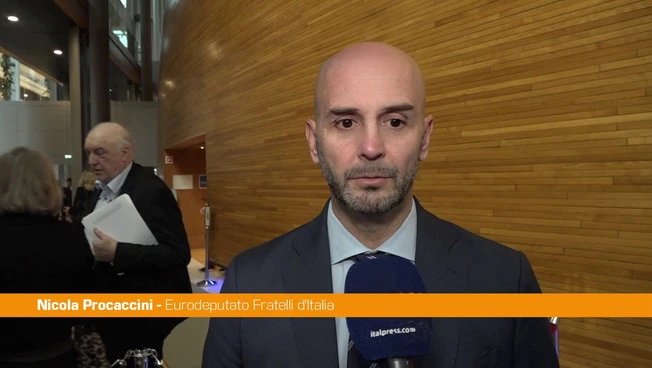 Mercosur, Procaccini "Apertura per le nostre merci a 220 milioni di consumatori"