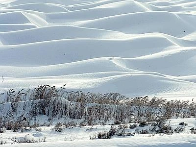 Alaska, terremoto di magnitudo 7.7 Scattato l'allarme tsunami fino al Canada