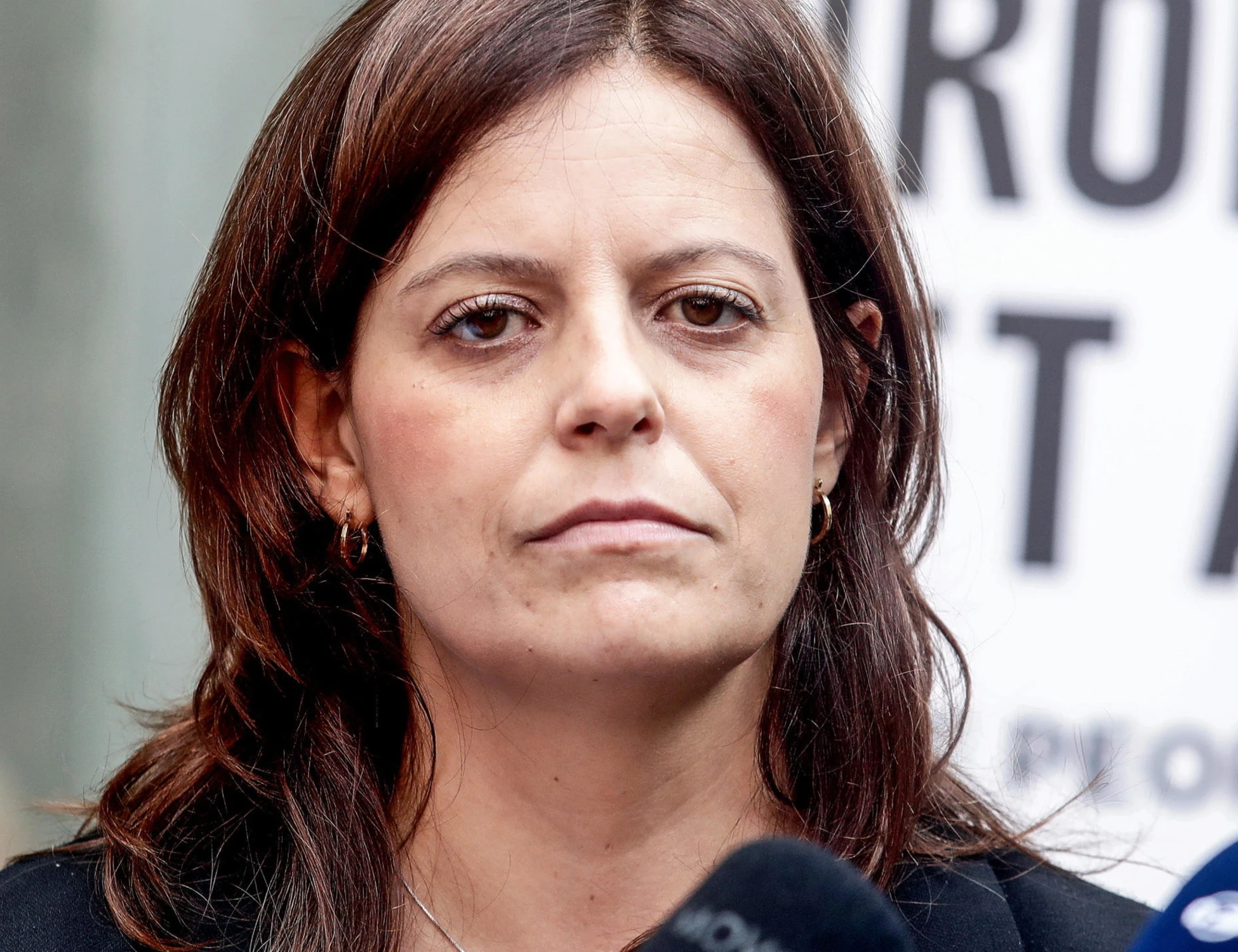 Ilaria Salis, collaboratori in fuga: "Povero, ma più felice"
