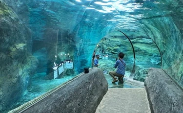 Giappone, ammazza la moglie e la fa sparire allo zoo: una storia atroce