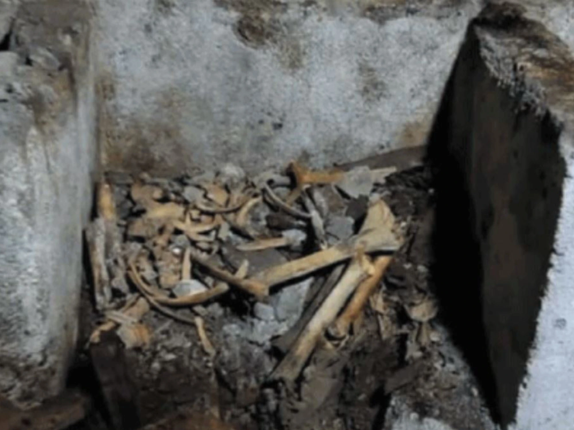 Quell’ultimo mistero di Dracula: potrebbe essere sepolto a Napoli