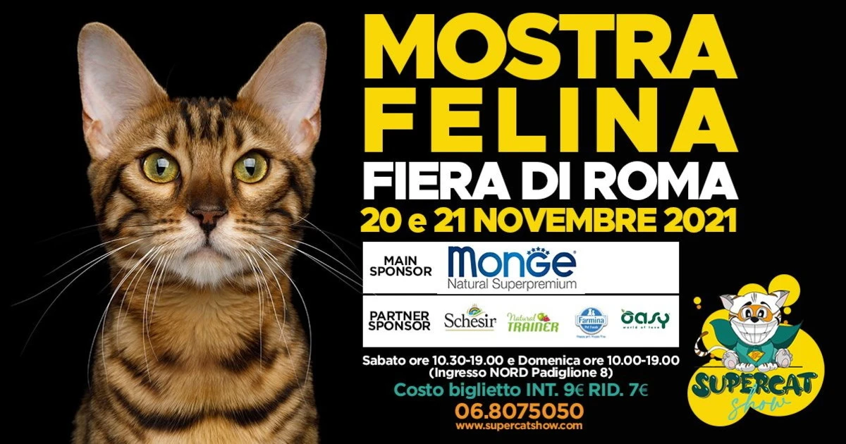 Torna a Roma "Supercat Show", gatti: l'evento più atteso dell'anno
