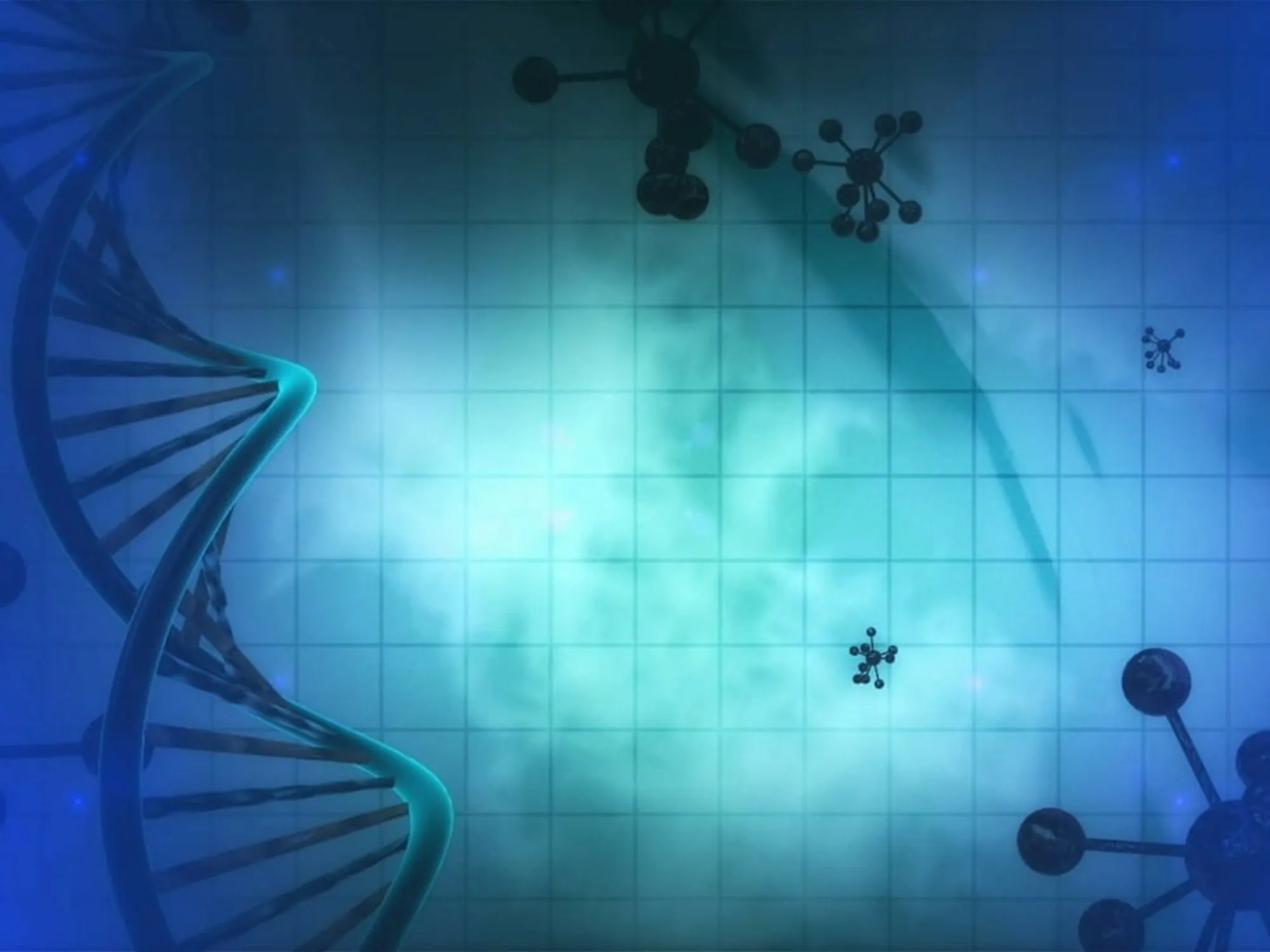 Il cervello dei muscoli: come funziona e cosa può ricordare