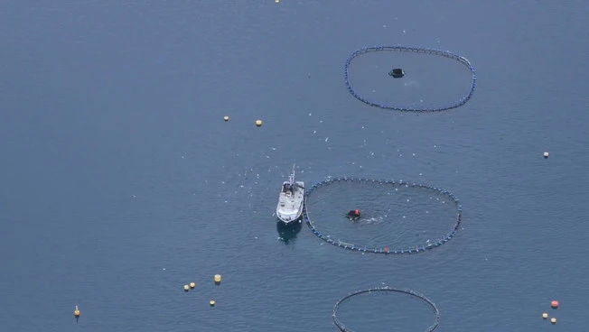 Pesca, stop ai tagli: nel 2026 niente riduzione delle giornate in mare