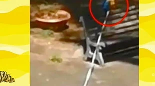 Striscia la Notizia, multe per chi infrange la quarantena? Il caso assurdo dell'infermiera di Capri