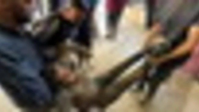 Gaza, almeno 30 palestinesi uccisi mentre aspettavano aiuti a Gaza