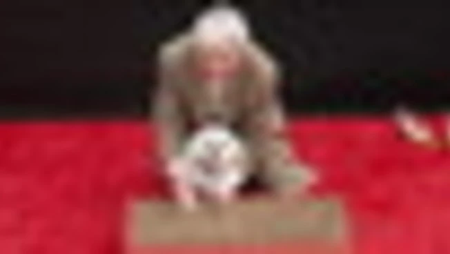 Glenn Close (con cane) alla cerimonia delle impronte a Hollywood
