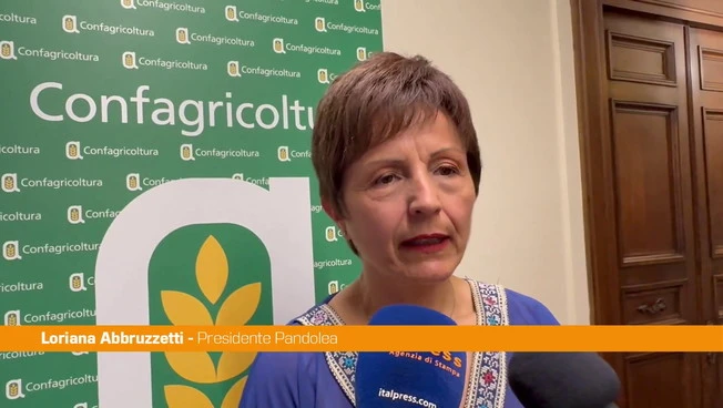 Abbruzzetti "Respiro internazionale per IX edizione premio Filo della Torre"