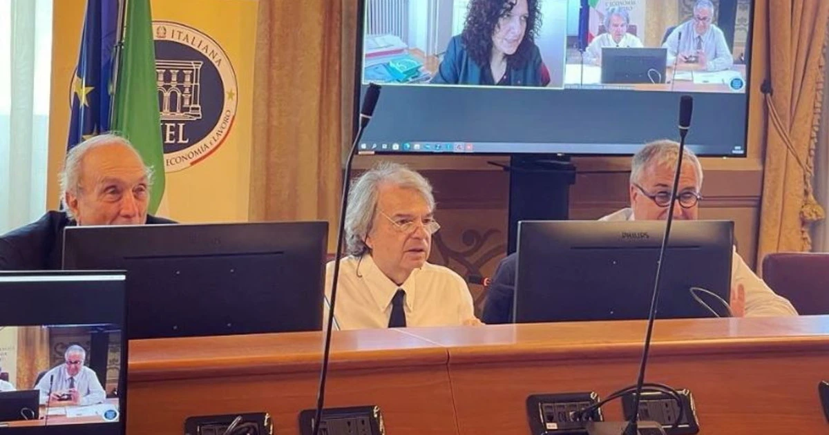 Cnel, Renato Brunetta: "Potenzieremo il nostro ruolo consultivo"