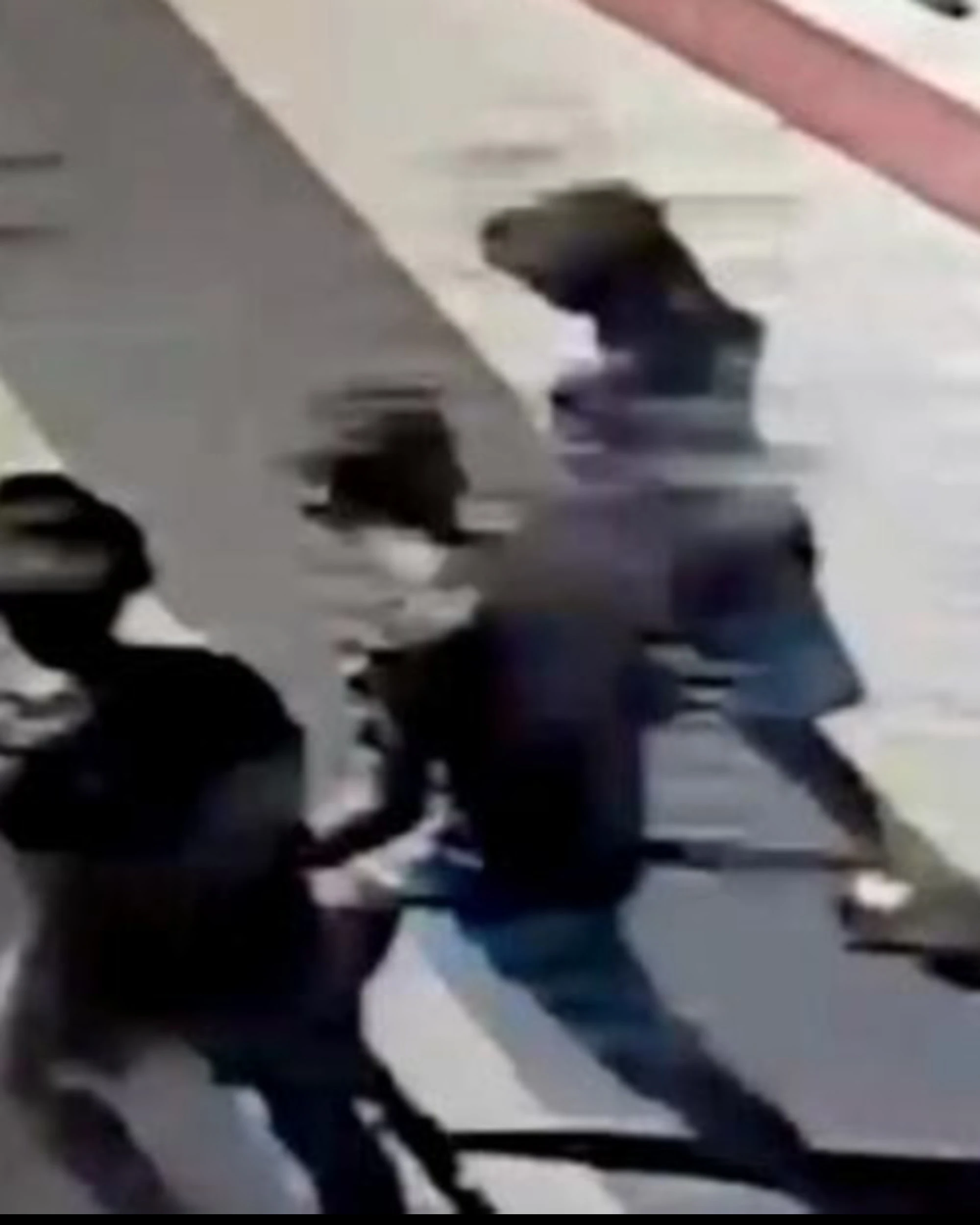 Milano, investita e uccisa: uno dei ragazzini scappa dalla comunità a Bergamo