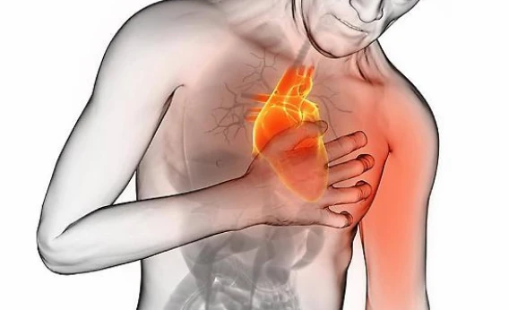 Infarto, more e mirtilli salvano il cuore: "Questi frutti contengono antocianine utili per la longevità"