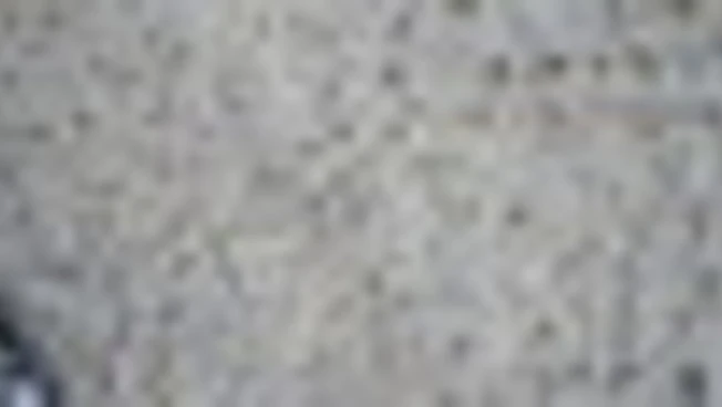 Nel Parco dello Stelvio trovate migliaia di orme di dinosauri