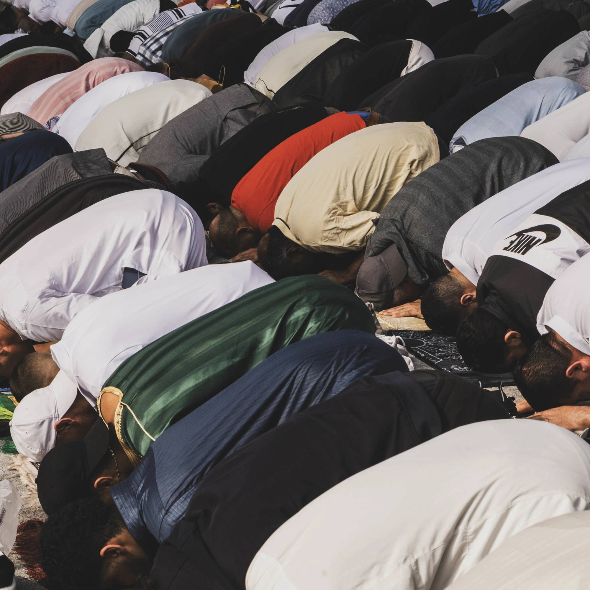 Il pericolo islamista dimenticato da noi (e nascosto da loro)