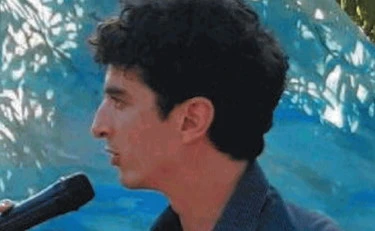 Ilaria Salis travolta, 