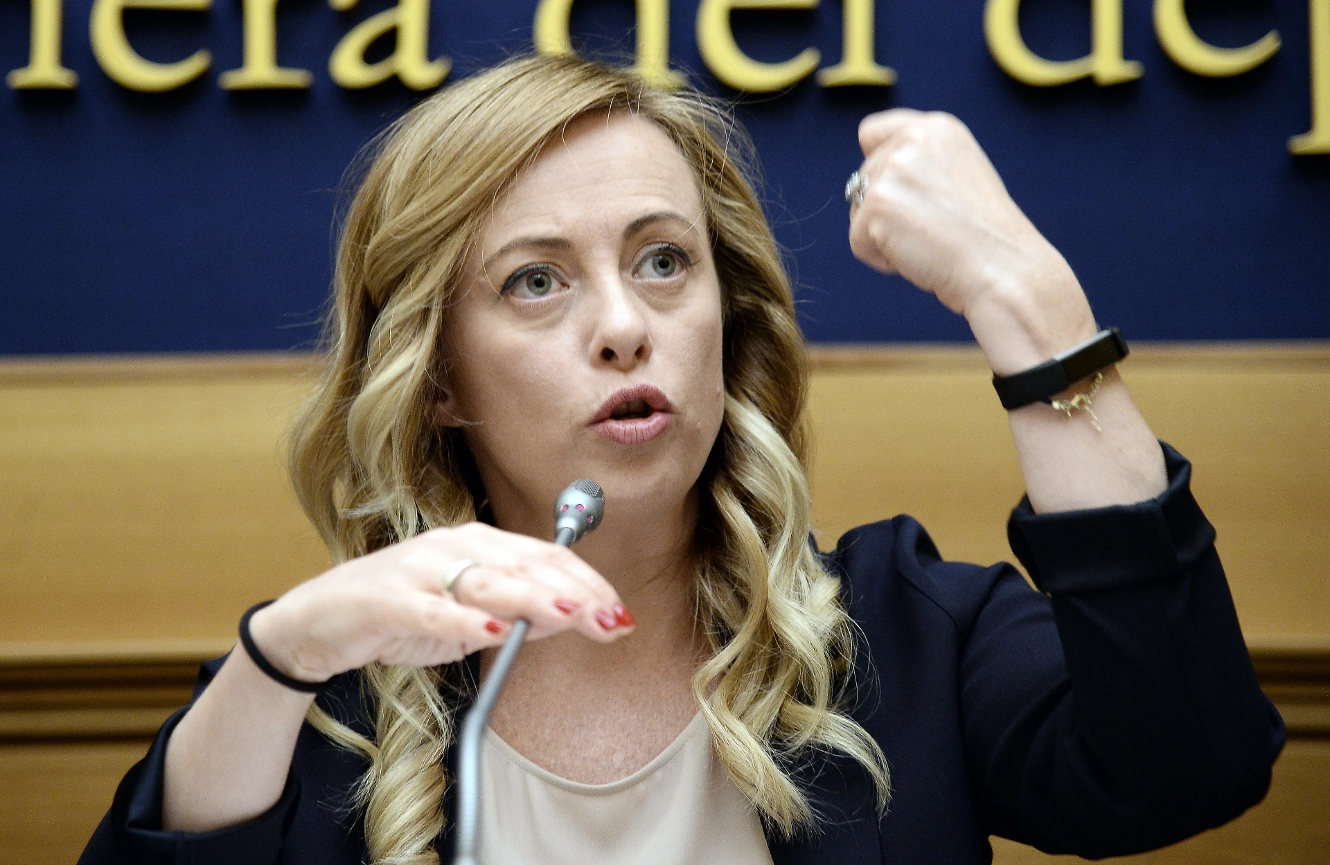 Giorgia Meloni: "Cecile Kyenge chieda scusa. Le sue parole sull'apartheid sono gravissime"