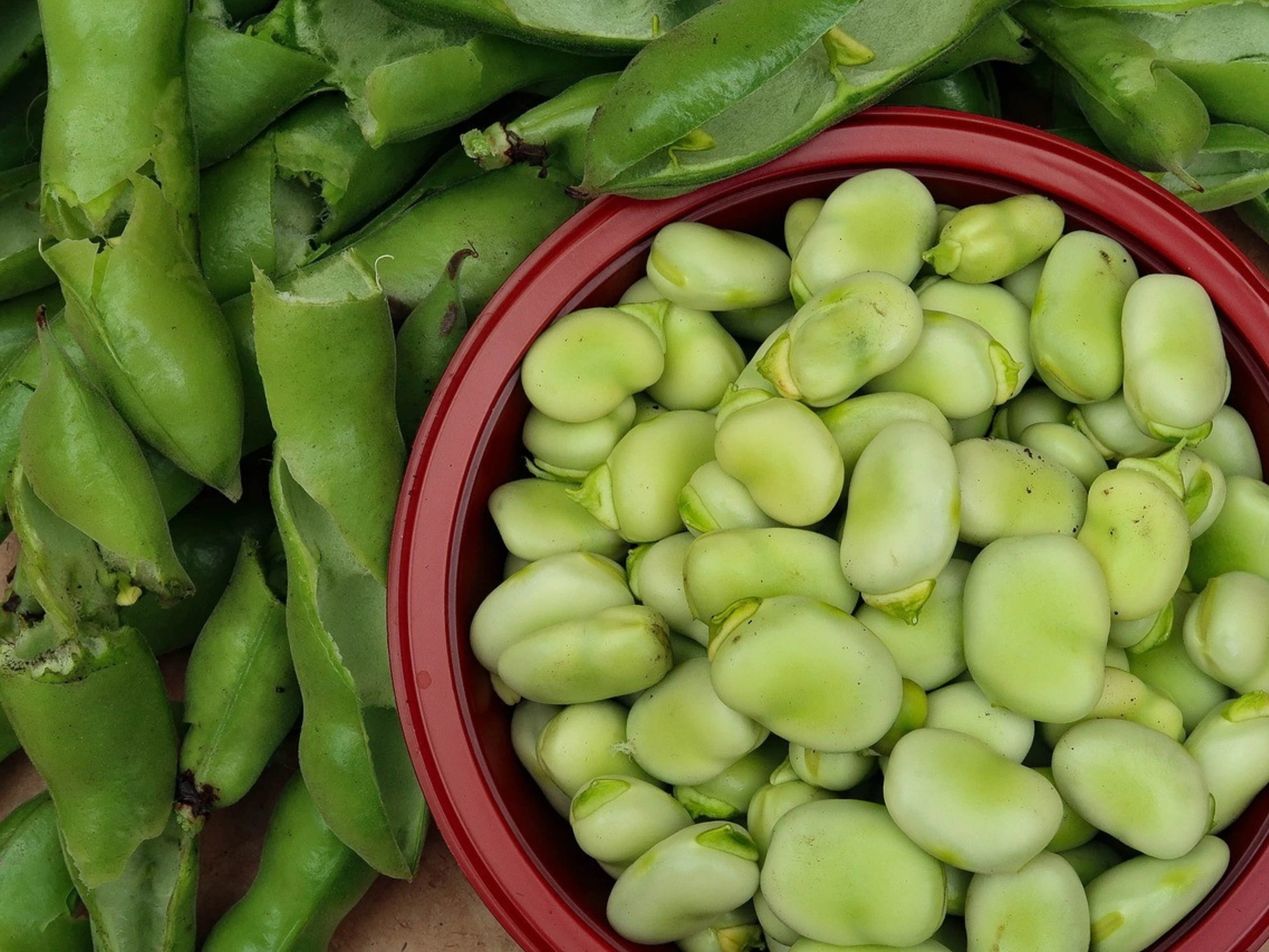 Fave, l'insidia segreta: chi non dovrebbe mangiarle