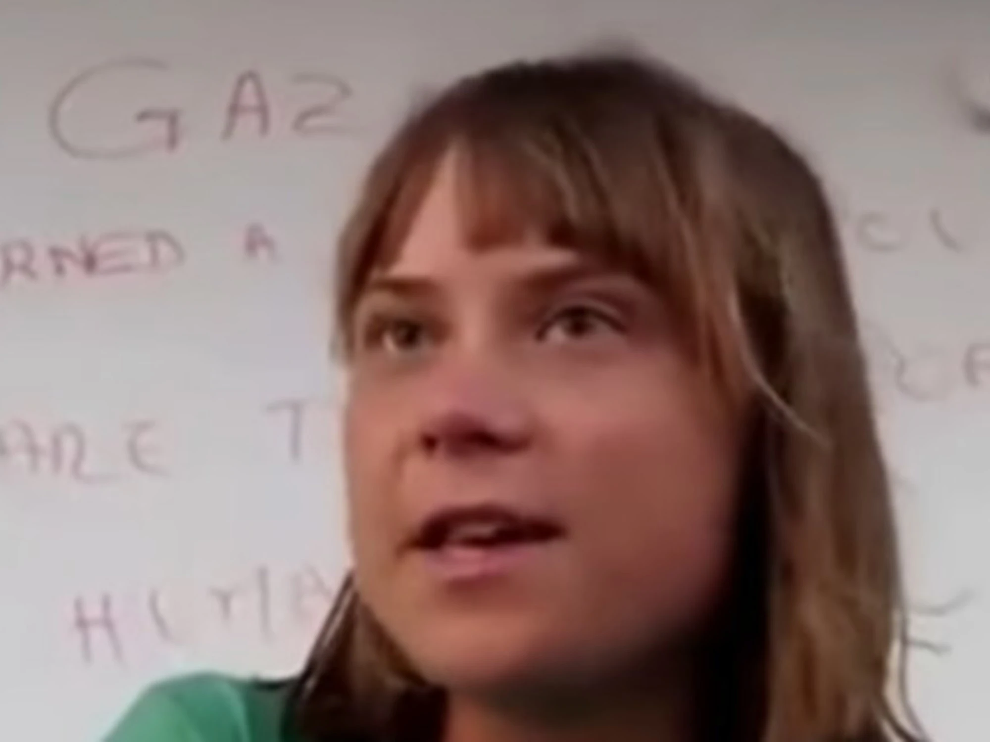 Greta Thunberg, perché l'Università di Verona le ha detto no: il gioco sporco dell'ultra-sinistra