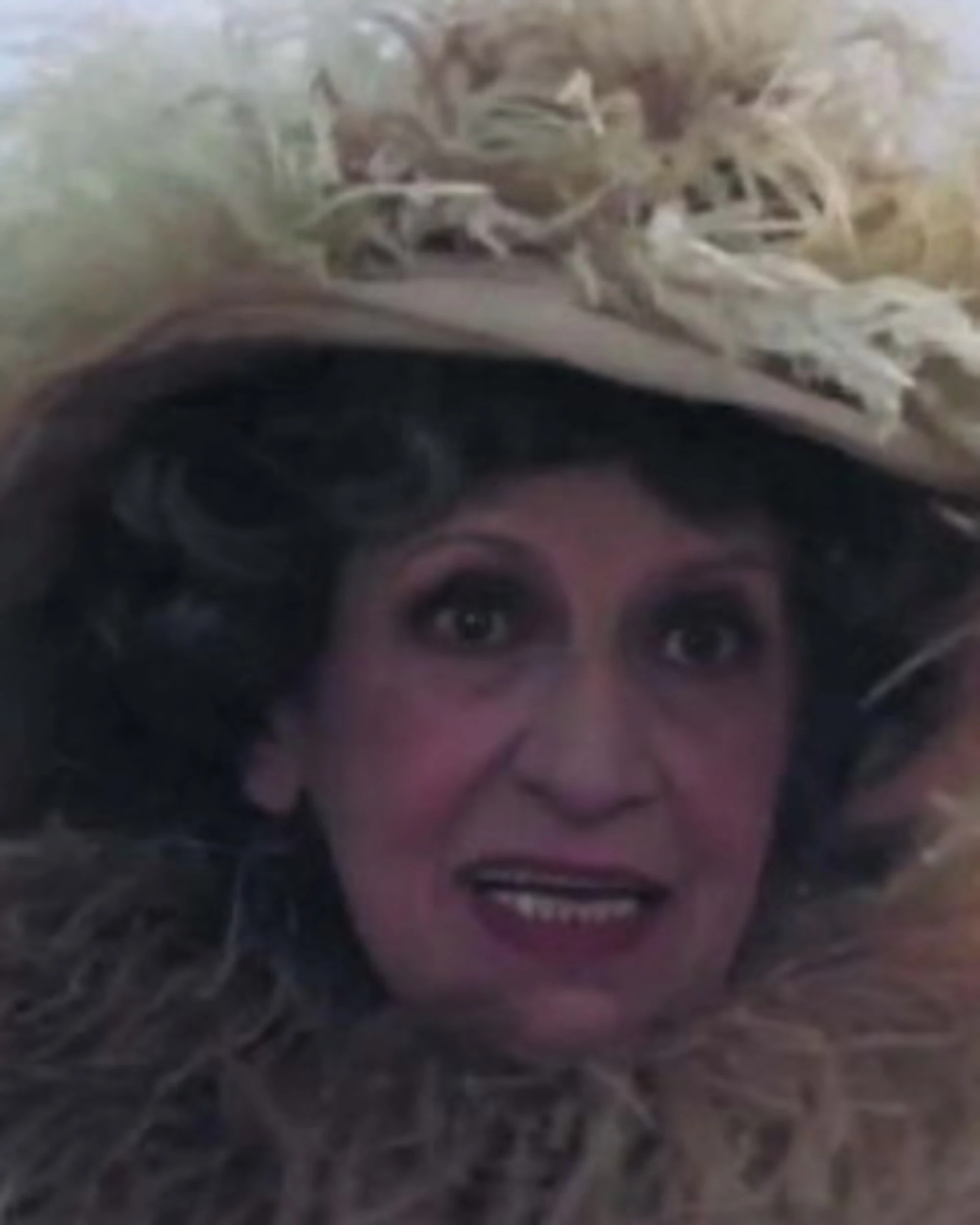 Torna la contessa squattrinata che aborre i dolci industriali