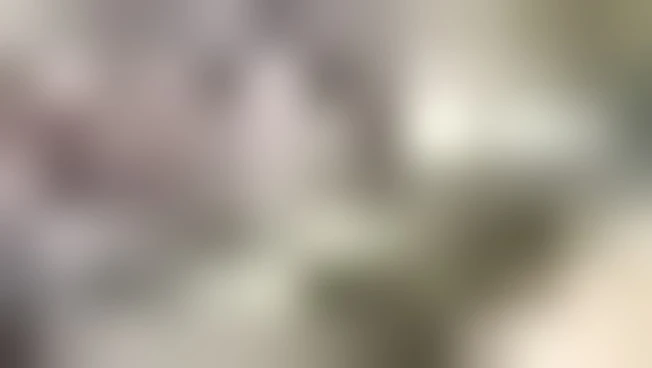 https://media.liberoquotidiano.it/xFs4yMknUfcUU_q1p-O9Pcmx1rdj6X8Tf3M4GYPvVk4/width:800/quality:90/aW1hZ2VzLzIwMjUvMDkvMTEvMTUwOTI3OTE2LTBjMDE2OWQzLWEwNGItNDJiZi1iOWU5LTQyZjA4YTk5ZTJhZC5qcGc.webp