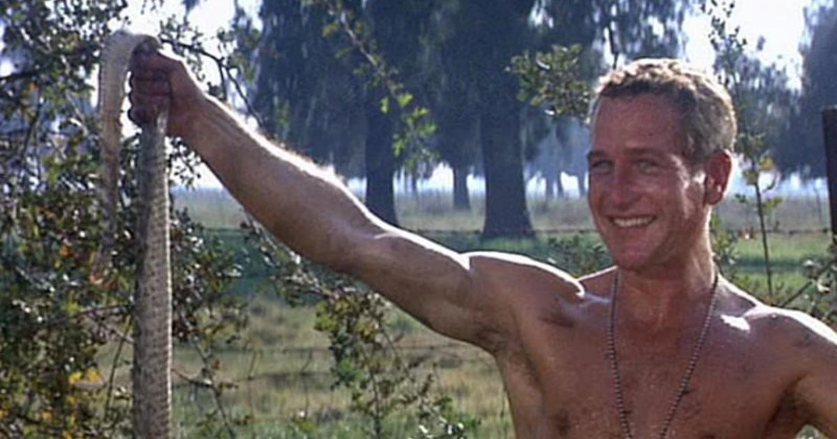 "Nick mano fredda", una delle grandi interpretazioni di Paul Newman nel suo decennio d'oro