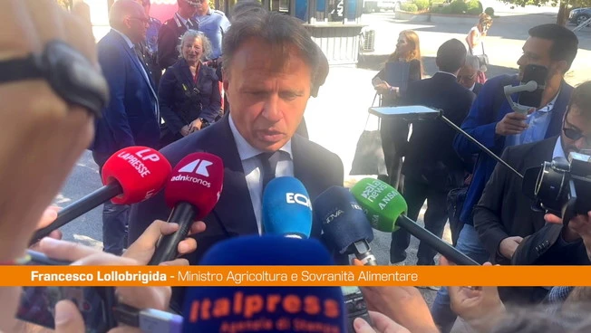 Ippica, Lollobrigida "Il Governo ha messo in campo azioni di rilancio"