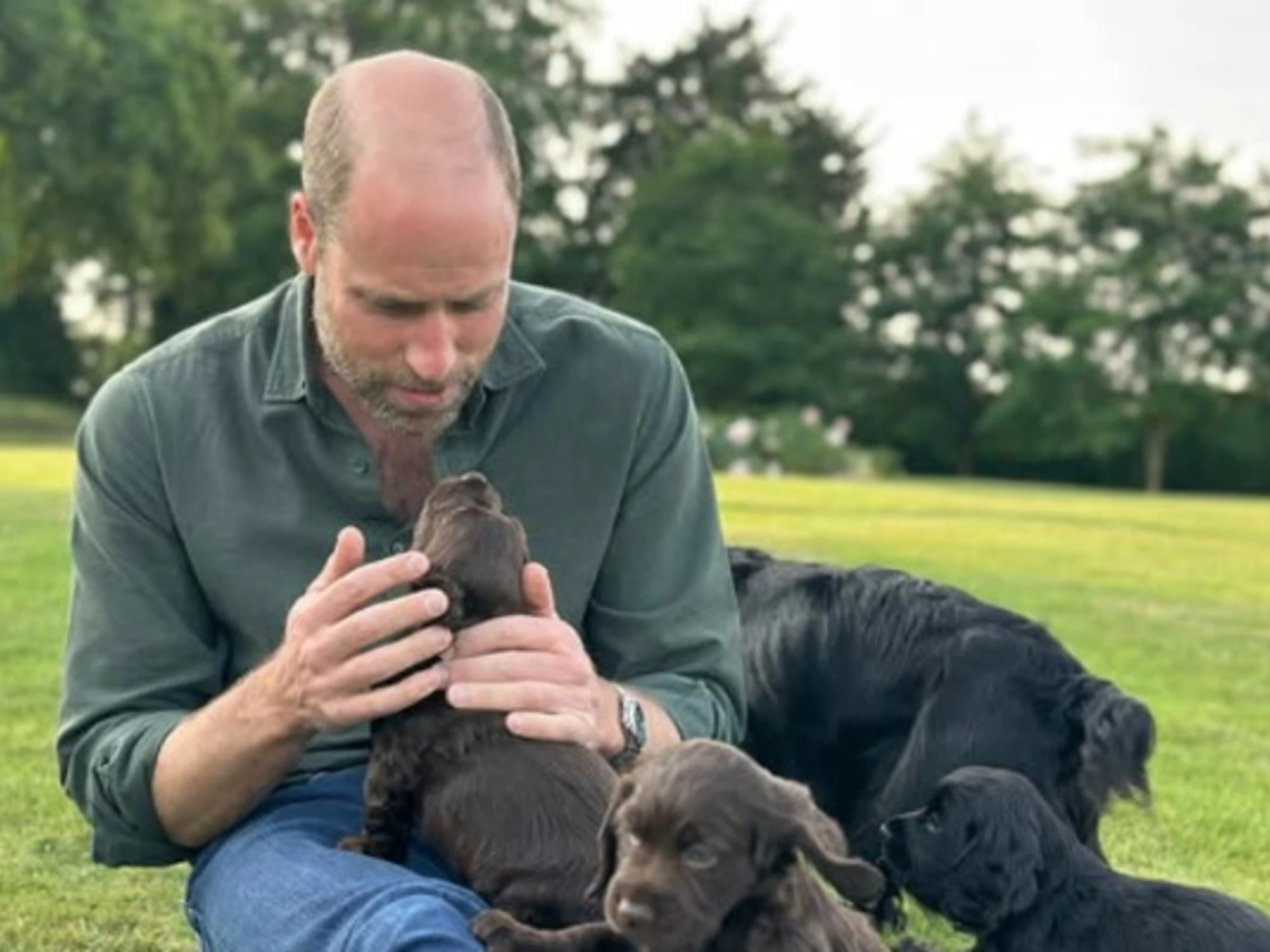 Kate Middleton e William, i reali criticati anche per la cucciolata