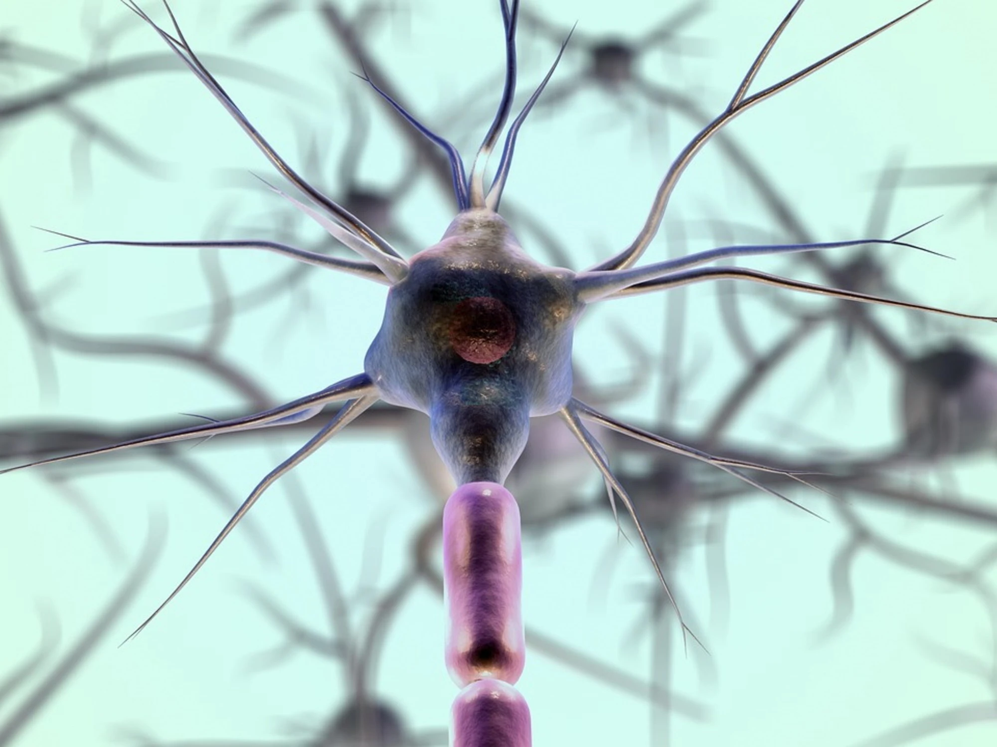 Tumori, le cellule per rigenerare il midollo spinale