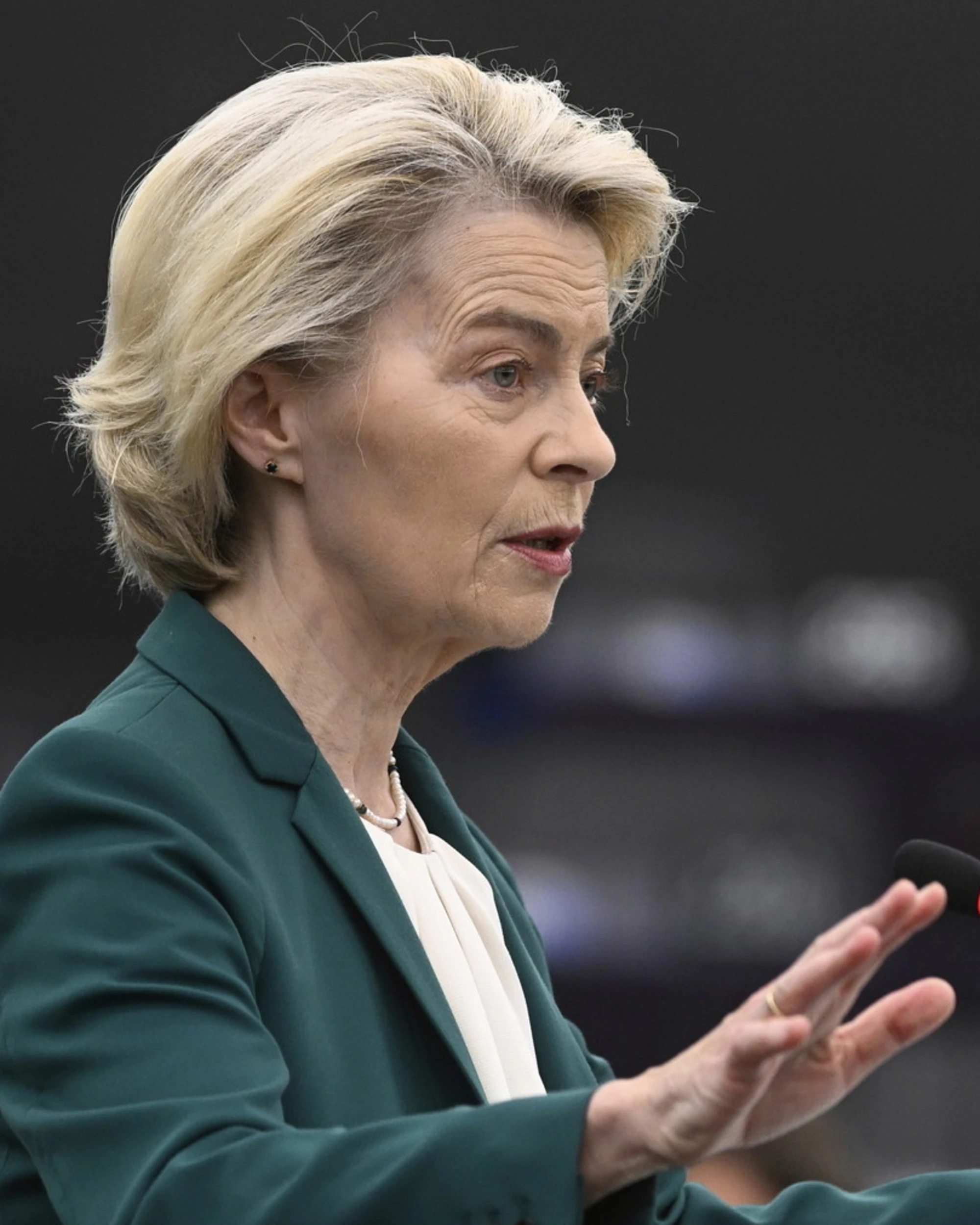 Ursula von der Leyen, Fidanza: "FdI lavora a una maggioranza alternativa"