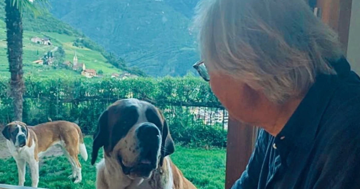 Vittorio Sgarbi, il peculiare attacco a Mara Carfagna senza citarla: "Caro amico cane..."