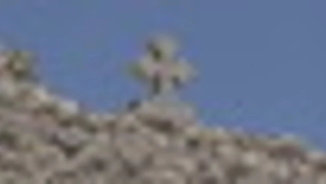 Ameriški veleposlanik zahteva pravico po požigu cerkve v vasi Taybeh na Zahodnem bregu