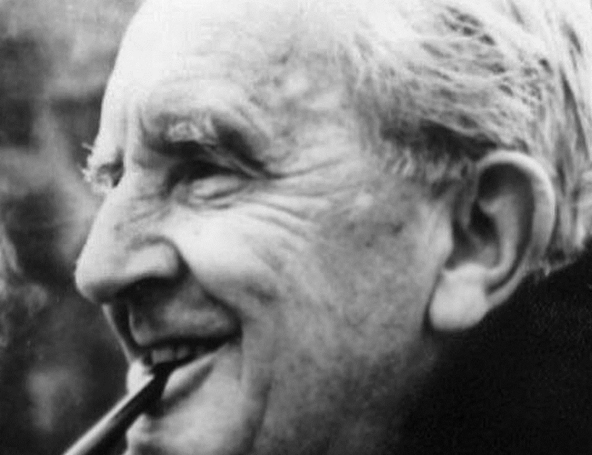 Tolomei-Tolkien: i nomi diventano essenza delle cose