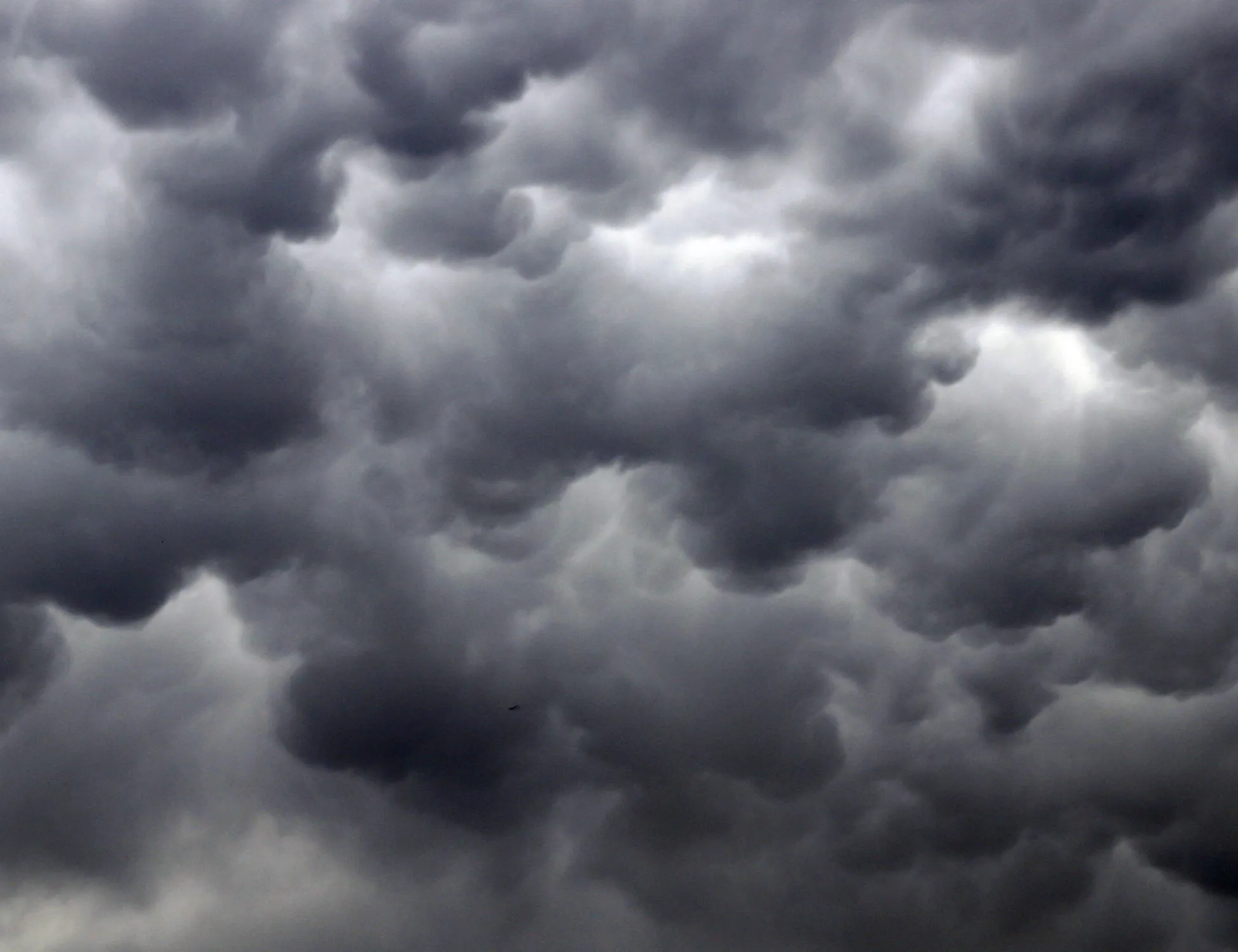 Leggi l'articolo: Meteo, "sta arrivando": quando crollano le temperature