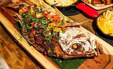 Coenzima Q10 la sostanza che consente alle cellule di funzionare correttamente