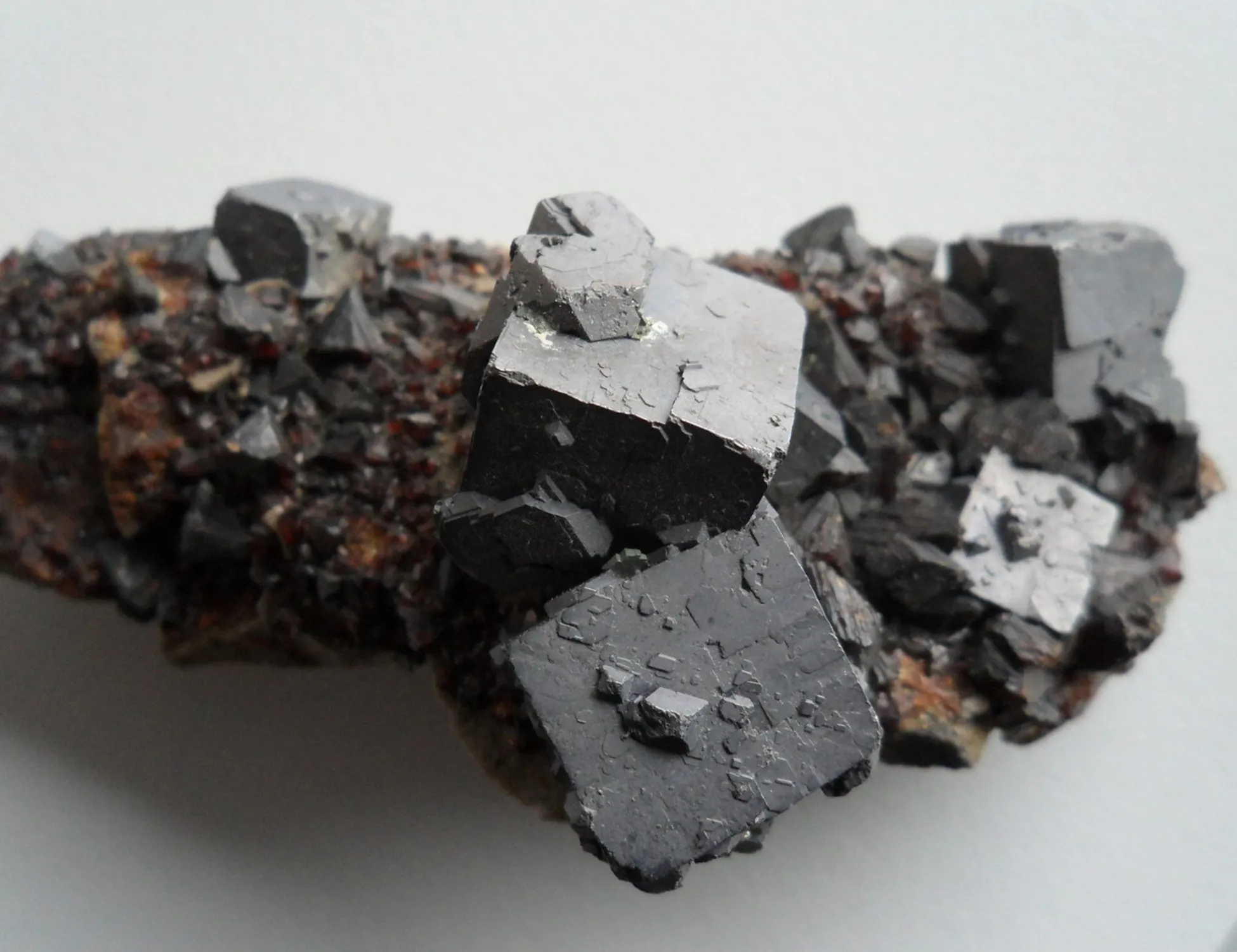 Leggi l'articolo: Piombo nei vestiti: quali capi mettono a rischio la salute