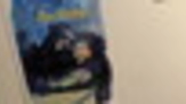 La Memoria diventa fumetto, a Roma l'artista tedesca Barbara Yelin