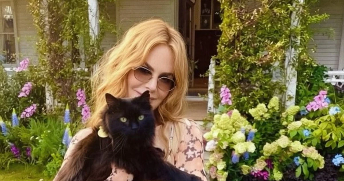 Nicole Kidman, ma cos'è successo alla sua faccia?