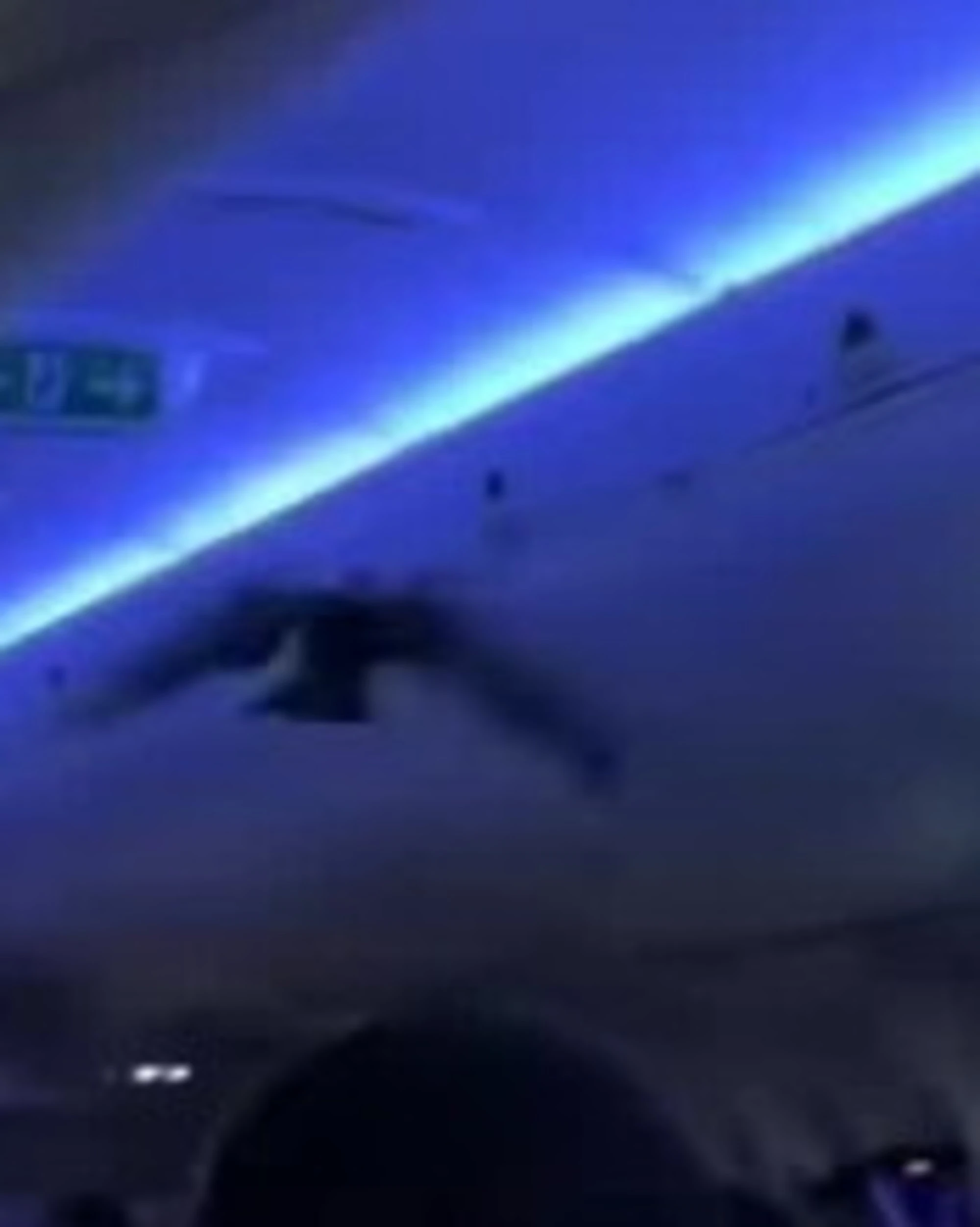Usa, piccioni a bordo dell'aereo: si scatena il caos