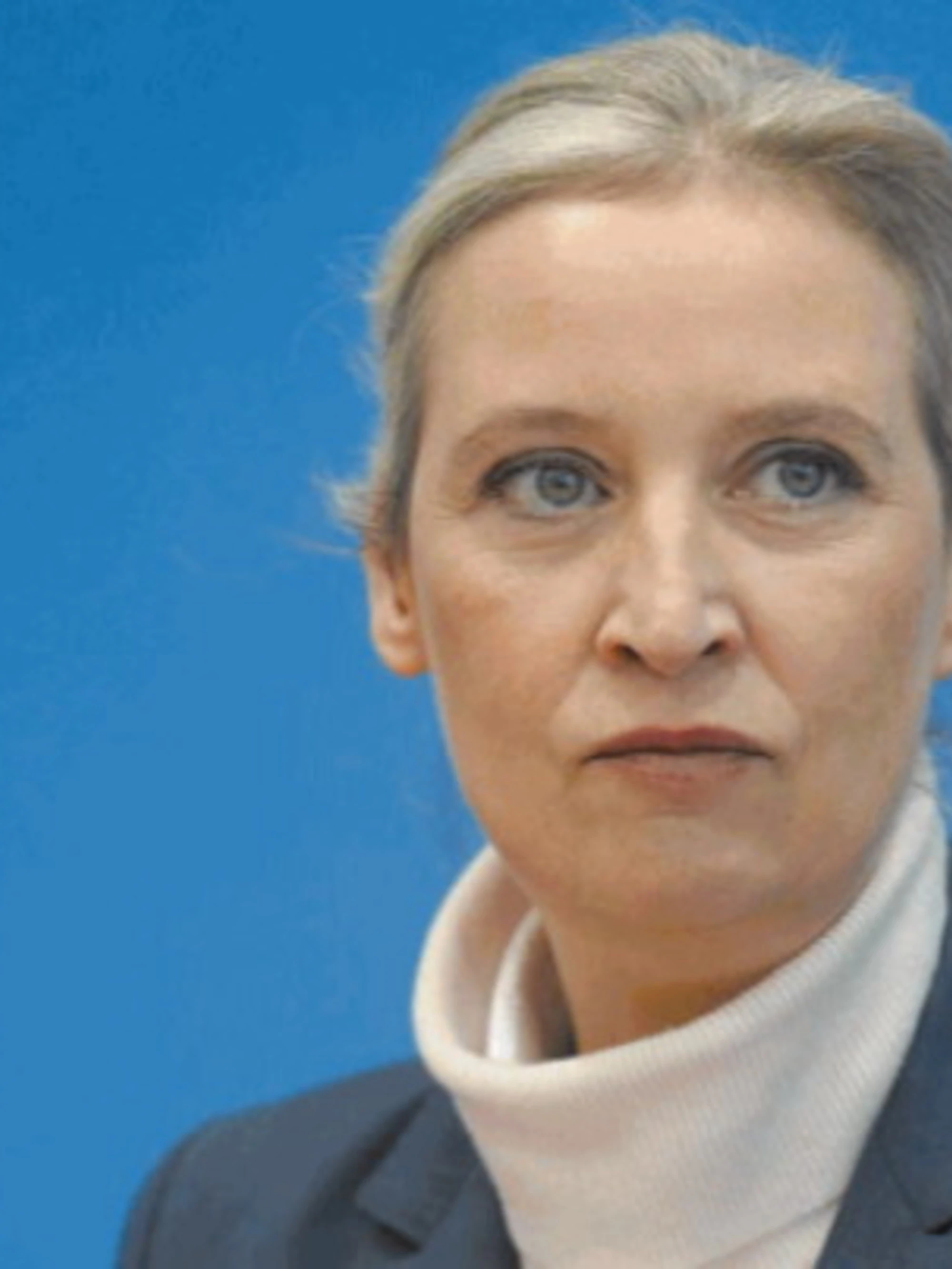 La democrazia tedesca: puoi lavorare se non sei di Afd