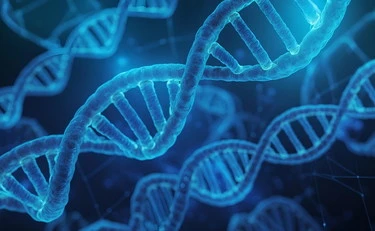 Longevità, il ruolo della rapamicina: il segreto per una lunga vita?