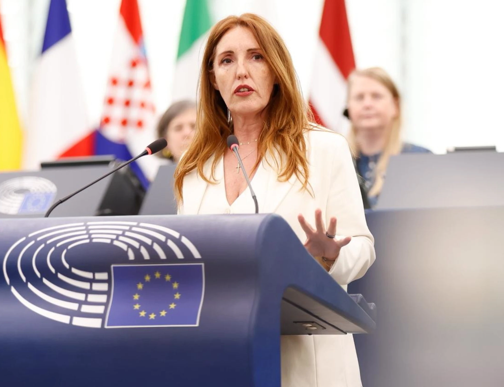 Leggi l'articolo: &quot;In aula piagnucola, poi...&quot;: la farsa di Ilaria Salis
