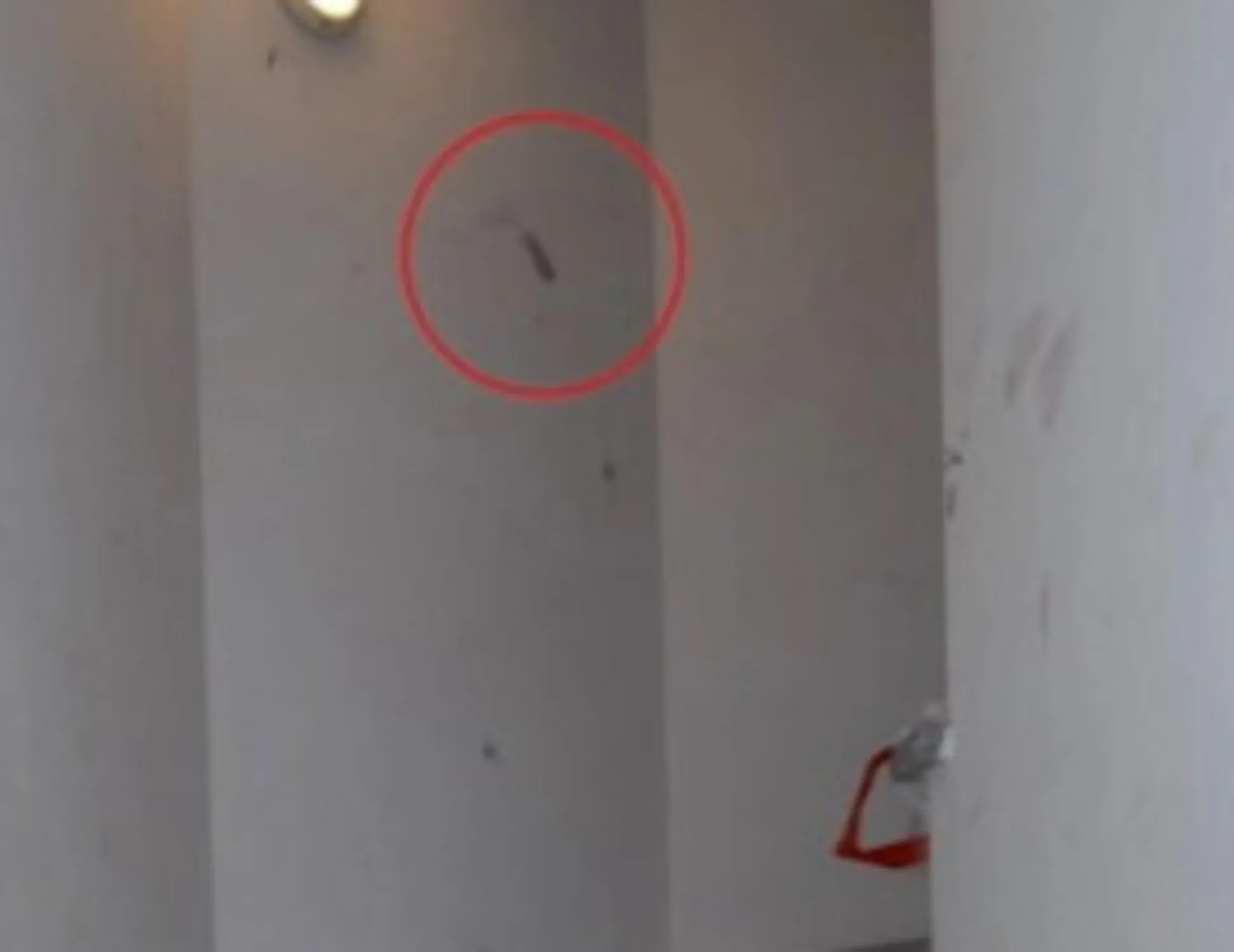 Leggi l'articolo: "Mi inquieta": Garlasco, un sospetto atroce