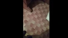 Udine, un "lupo ibrido" aggredisce in casa un ragazzo: video sconvolgente