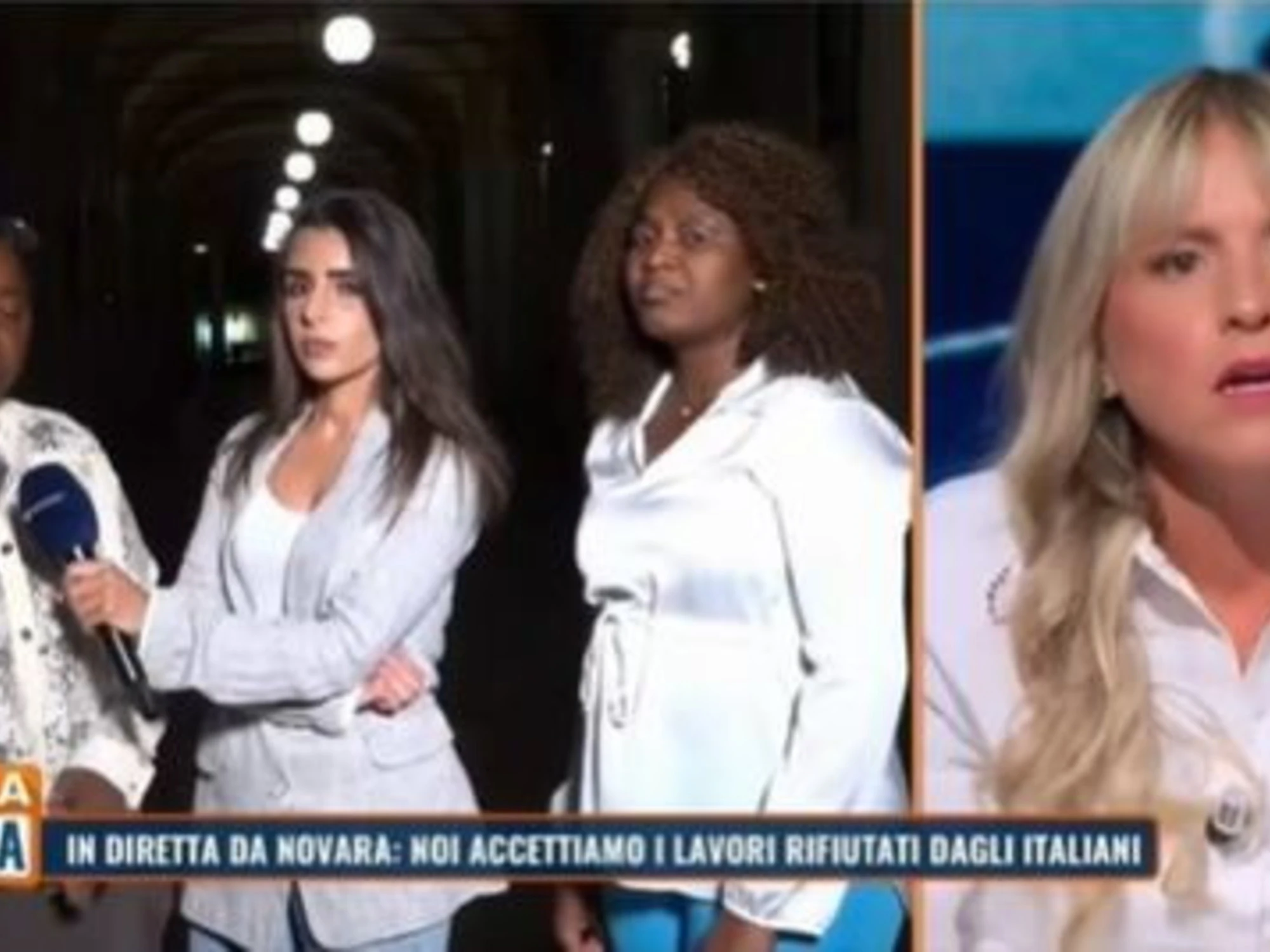 "Impara l'italiano e vai a lavorare!": la lezione della Sardone in tv