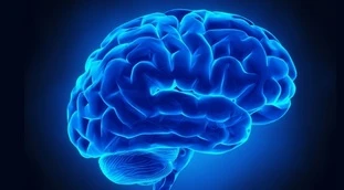 Cervello e demenza senile, il ruolo della dieta: così quello che mangi può stravolgerti la vita
